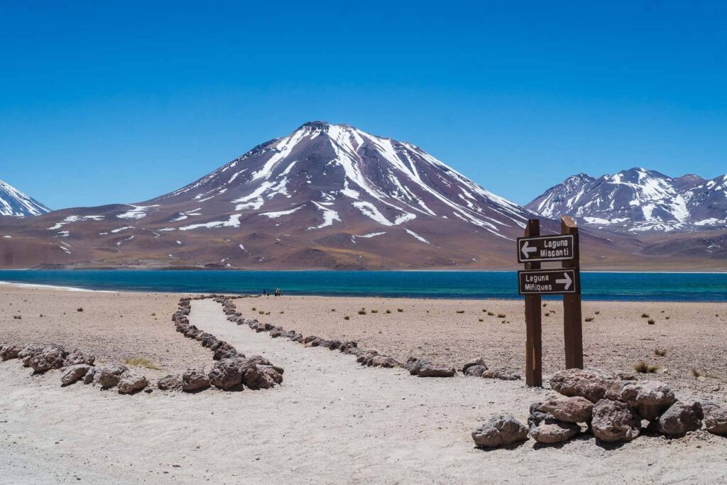Laguna Altiplanicas Atacama 