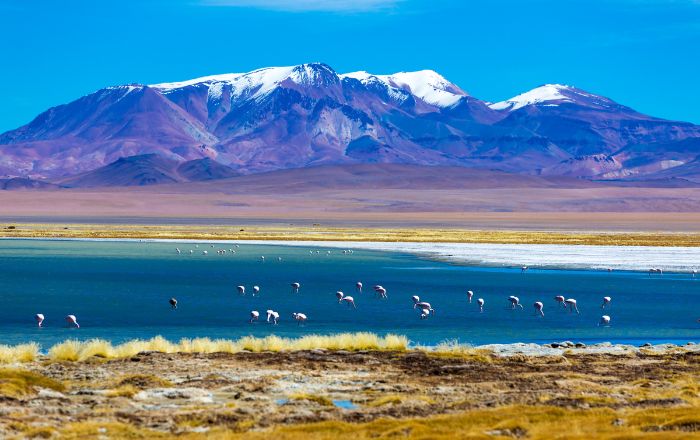 O que fazer no deserto do Atacama no Chile