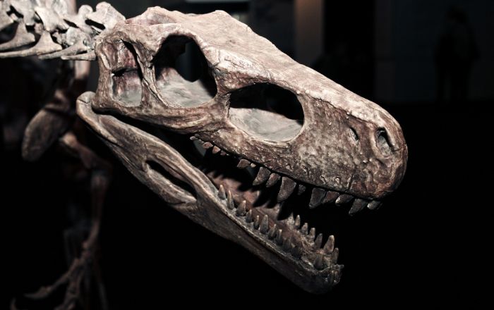 Museu Nacional de História Natural do Chile