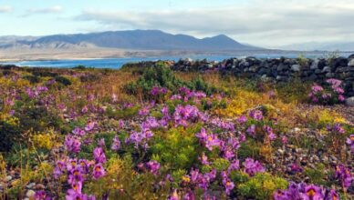 Turismo Ecológico no Chile