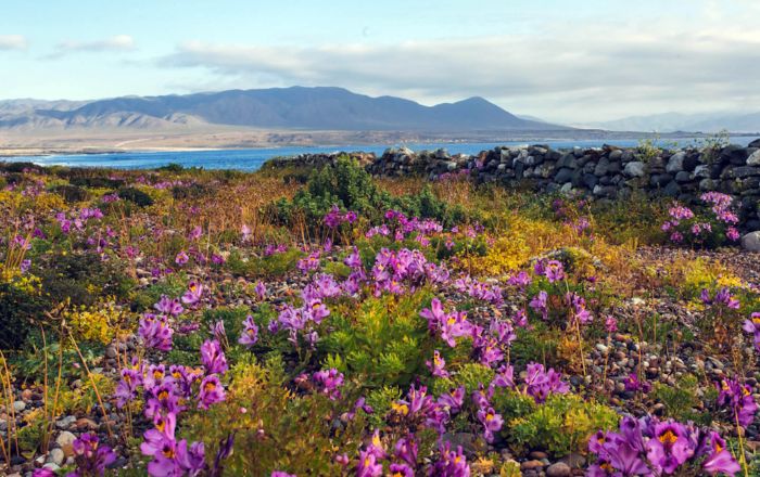 Turismo Ecológico no Chile